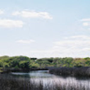 Meet your Posher, Matheus